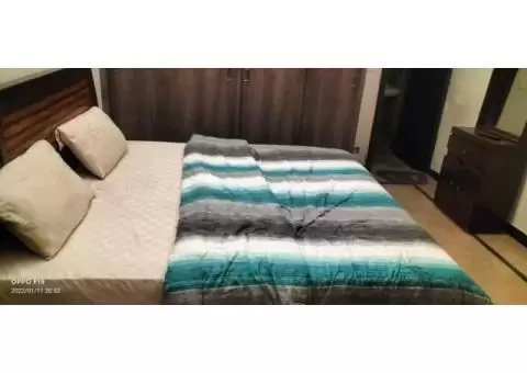 awan paying guest e11 Islamabad - 3/11