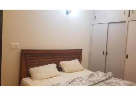 awan paying guest e11 Islamabad - 8/11