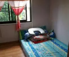room available near to Zoo in Islamabad