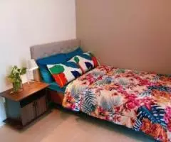 Rooms for rent in I-12 Islamabad