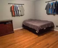 house for rent in I10/4