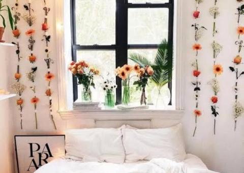 Students Accommodation near to Manchester Academy of English