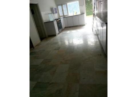 Beautiful House with a nice Lawn - 2/4