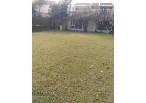 Beautiful House with a nice Lawn - 3/4