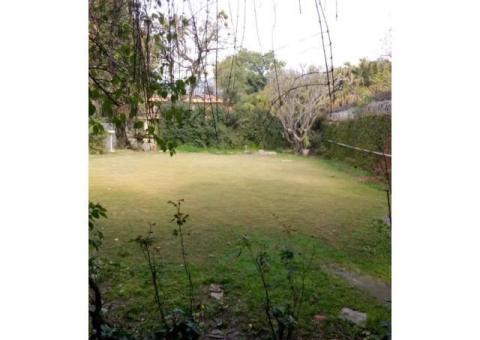 Beautiful House with a nice Lawn - 4/4