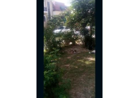 House For Rent - 1/4