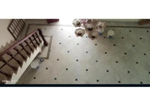 House For Rent - 3/4