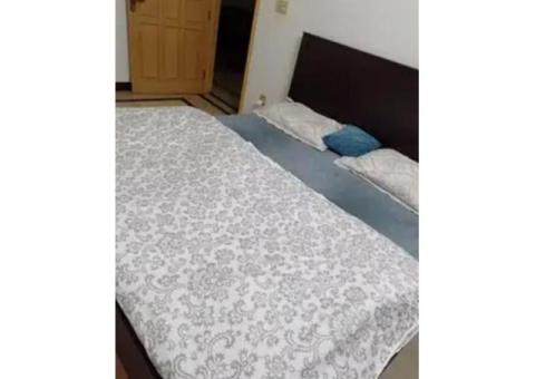 Single lady as a paying guest