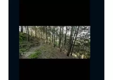 Residential plot near PRC mess shimla hill road - 3/3