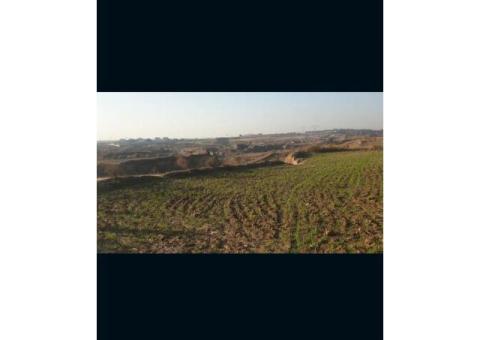 5 Kanal Land for sale - 4/5