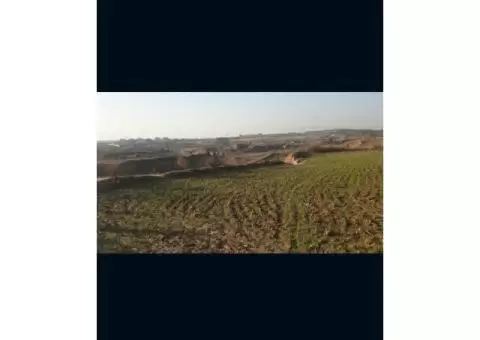 5 Kanal Land for sale - 4/5