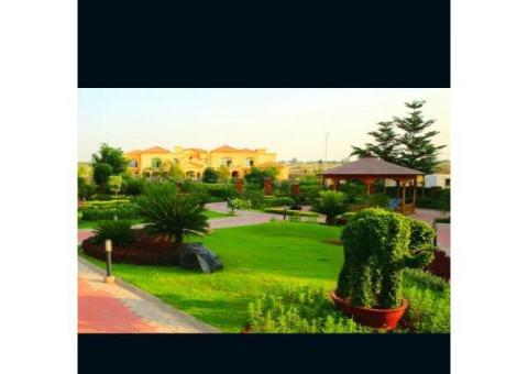 Top City G Block 5 Marla Plot On Investor Rate - 3/3