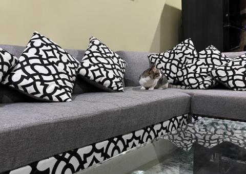 9H Girls Hostel - 12/13