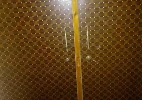 Best VIP Hostel available for Girls in F8 Islamabad - 2/2