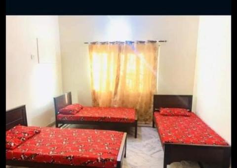 GIRLS HOSTEL,situated in g-11/4 - 13/13