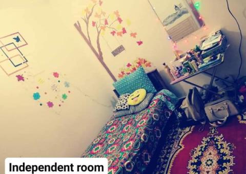 Lane 10, Royal avenue, hostel city near Comsats University, Islamabad - 5/7