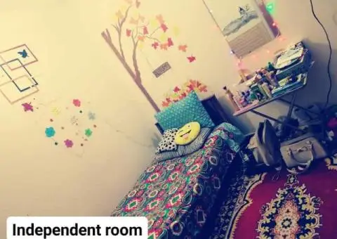 Lane 10, Royal avenue, hostel city near Comsats University, Islamabad - 5/7