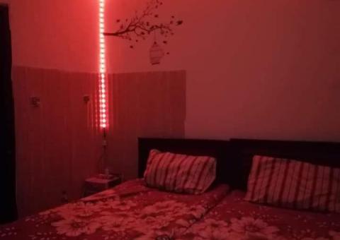 Lane 10, Royal avenue, hostel city near Comsats University, Islamabad. - 6/6